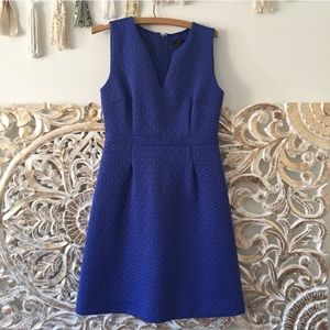 J. Crew Blue Sleeveless Textured Jacquard Dress